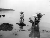 Fotografi ur familjen Lithanders album