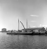 Kopia finns 7x7 (B.M.A.)
M/S Maas. Holländsk 