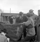 Kopia finns 7x7 (B.M.A.)