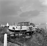 Kopia finns 7x7 (B.M.A.)