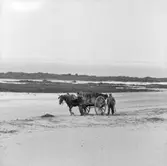 8. Frankrike. Fotojournal finns på B.M.A. + fotoalbum.
Samtidigt förvärv: Böcker och arkivmaterial.
Foton tagna mellan 1959-10-16 och 1959-10-17
12 Bilder i serie.