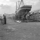 16. Italien. Fotojournal finns på B.M.A. + fotoalbum.
Samtidigt förvärv: Böcker och arkivmaterial.
Foton tagna 1959-10-28.
12 Bilder i serie.