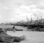 16. Italien. Fotojournal finns på B.M.A. + fotoalbum.
Samtidigt förvärv: Böcker och arkivmaterial.
Foton tagna 1959-10-28.
12 Bilder i serie.