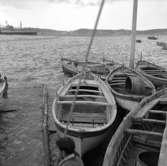 19. Italien. Fotojournal finns på B.M.A. + fotoalbum.
Samtidigt förvärv: Böcker och arkivmaterial.
Foton tagna 1959-10-30.
12 Bilder i serie.