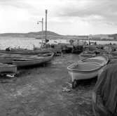 19. Italien. Fotojournal finns på B.M.A. + fotoalbum.
Samtidigt förvärv: Böcker och arkivmaterial.
Foton tagna 1959-10-30.
12 Bilder i serie.