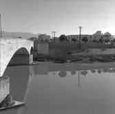 22. Italien. Fotojournal finns på B.M.A. + fotoalbum.
Samtidigt förvärv: Böcker och arkivmaterial.
Foton tagna mellan 1959-11-02 och 1959-11-04. 
12 Bilder i serie.