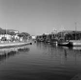 22. Italien. Fotojournal finns på B.M.A. + fotoalbum.
Samtidigt förvärv: Böcker och arkivmaterial.
Foton tagna mellan 1959-11-02 och 1959-11-04. 
12 Bilder i serie.