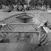 23. Italien. Fotojournal finns på B.M.A. + fotoalbum.
Samtidigt förvärv: Böcker och arkivmaterial.
Foton tagna 1959-11-04.
11 Bilder i serie.