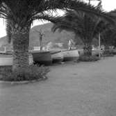 24. Italien. Fotojournal finns på B.M.A. + fotoalbum.
Samtidigt förvärv: Böcker och arkivmaterial.
Foton tagna mellan 1959-11-04 och 1959-11-05.
12 Bilder i serie.