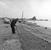 25. Frankrike. Fotojournal finns på B.M.A. + fotoalbum.
Samtidigt förvärv: Böcker och arkivmaterial.
Foton tagna 1959-11-05.
12 Bilder i serie.