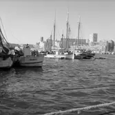 27. Frankrike. Fotojournal finns på B.M.A. + fotoalbum.
Samtidigt förvärv: Böcker och arkivmaterial.
Foton tagna 1959-11-05.
10 Bilder i serie.