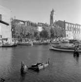 29. Frankrike. Fotojornal finns på B.M.A. + fotoalbum.
Samtidigt förvärv: Böcker och arkivmaterial.
Foton tagna 1959-11-06.
12 Bilder i serie.