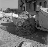 32. Spanien. Fotojournal finns på B.M.A. + fotoalbum.
Samtidigt förvärv: Böcker och arkivmaterial.
Foton tagna 1959-11-07.
12 Bilder i serie.