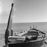 43. Spanien. Fotojournal finns på B.M.A. + fotoalbum.
Samtidigt förvärv: Böcker och arkivmaterial.
Foton tagna 1959-11-13.
12 Bilder i serie.