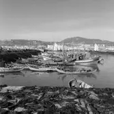 45. Portugal. Fotojournal finns på B.M.A. + fotoalbum.
Samtidigt förvärv: Böcker och arkivmaterial.
Foton tagna 1959-11-15.
12 Bilder i serie.