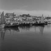 46. Portugal. Fotojournal finns på B.M.A. + fotoalbum.
Samtidigt förvärv: Böcker och arkivmaterial.
Foton tagna 1959-11-15.
12 Bilder i serie.