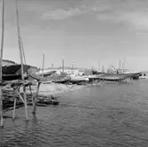 47. Portugal. Foto journal finns på B.M.A. + fotoalbum.
Samtidigt förvärv: Böcker och arkivmaterial.
Foton tagna 1959-11-15.
12 Bilder i serie.