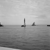 48. Portugal. Foto jornal finns på B.M.A. + fotoalbum.
Samtidigt förvärv: Böcker och arkivmaterial.
Foton tagna mellan 1959-11-15 och 1959-11-16.
12 Bilder i serie.