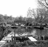 Skrivet på baksidan: Från färgfotoneg. 