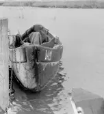 Skrivet på baksidan: 