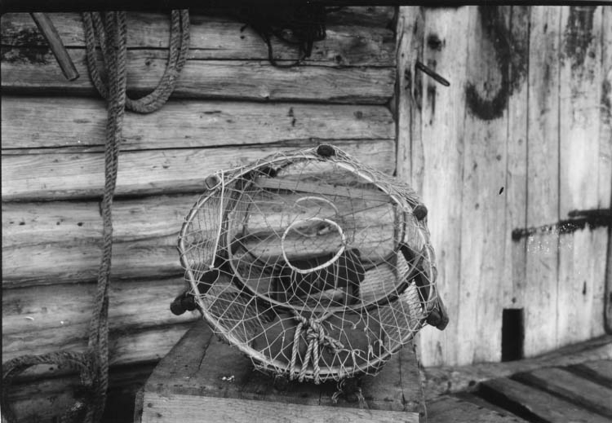 Olof Hasslöf, Written on the back: Hummertina, Gravarne