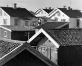 Fotograferat av: Pål-Nils Nilsson Stockholm Drottninggatan 88c
Skrivet på baksidan: 083-691-7