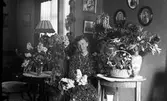 Kvinna med födelsedagsblommor i hemmet::
