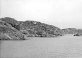 Juni 1924. Gammalt fiskeläge, Ingegerdsholm, utanför Skärhamn, bostadshus och sjöbodar.