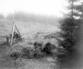 Enligt tidigare noteringar: 