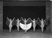 Balettdans i Kamraternas Revy 1939