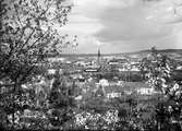 Utsikt över Jönköping från Stadsparken.