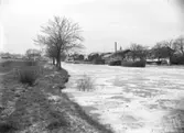 Hamnen, Enköping, vinter, vy från söder, troligen 1913. Ångbåtarna Enköping II och Ivar Blå vid kaj. Skymtandes t. h. upplagd, ångbåten Fagerudd.