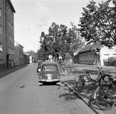 Kanalgatan i Jönköping, till höger ligger en Mjölkaffär. Bilar och cyklar är parkerade vid allén i mitten.