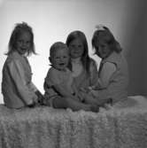 Syskonen Fredrik, Liselotte, Marie och Cecilia Elm från Vireda, Aneby den       4 september 1971.