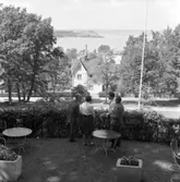 I samband med att Huskvarna blev stad år 1911 anlades en stadspark i norra delen av Huskvarna. År 1914 tillkom även en kaffestuga. Här står stadsträdgårdsmästare Erik Letell, herr David Bolin och kaffeserveringens personal och beundrar utsikten över Huskvarnaviken.