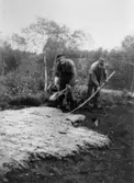 Arbete på torvfältet vid Fageredsmossen i Lindome, 1933. Upptagning av torv.
Se även MMF1992:0045.