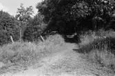 Gamla byvägen i Hällesåker, 1991.