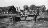 Höräfsning med häst, Arvid Svensson och Linea Mattsson vid Nersgården, 1930 - och 40-talet.