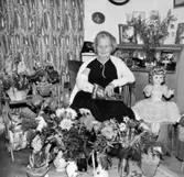 Arvid Svenssons syster Hildur fyller 70 år 1962.