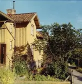 Ett gul hus med träd och buskar, år 1968. Bostadshuset Roten F25, Trädgården.