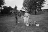 En kvinnlig förskollärare samt några barn hjälps åt att klä en liten midsommarstång som står på en inhängnad gräsmatta. Vid kvinnan finns några hinkar fyllda med blommor. I bakgrunden ser man Katrinebergs daghems byggnader.