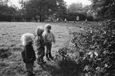 Tre små barn står på en gräsmatta och tittar på växtligheten utanför Katrinebergs daghem. I bakgrunden syns fler barn samt fröknar.