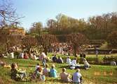 Människor som står och sitter på gräsmattan runt dammen i Gunnebo slottspark.