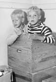 Två pojkar (tvillingar) sitter i stapelbara trälådor vid Holtermanska daghemmet 1953.