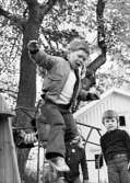 Barn leker vid klätterställning. Holtermanska daghemmet juni 1973.
