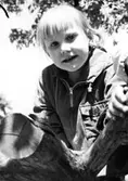 Ett barn som sitter på en trädgren. Holtermanska daghemmet juni 1973.