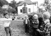 Fyra barn som står vid en buske. Holtermanska daghemmet juni 1974.