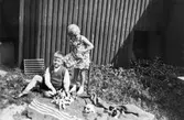 Kusinerna Ingemar Larsson och Lillemor Andersson leker med kattungar utanför kvarnen på Göteborgsvägen. Lillemors far var innehavare till kvarnen.