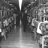 Interiör från A-B Victor Samuelsons Strumpfabrik. Verksamheten gick i konkurs 1977 men drevs vidare av andra ägare till 1982.