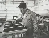 Harry Andersson i kommunens växthus vid Kärrabro, 1987.